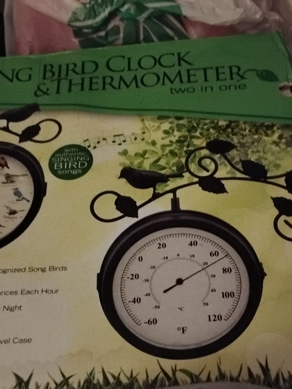 Outdoor Singing Bird Clock & Thermometer - Black